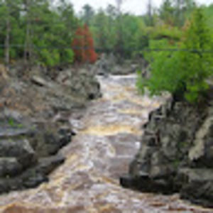 Meet your Posher, Joyce